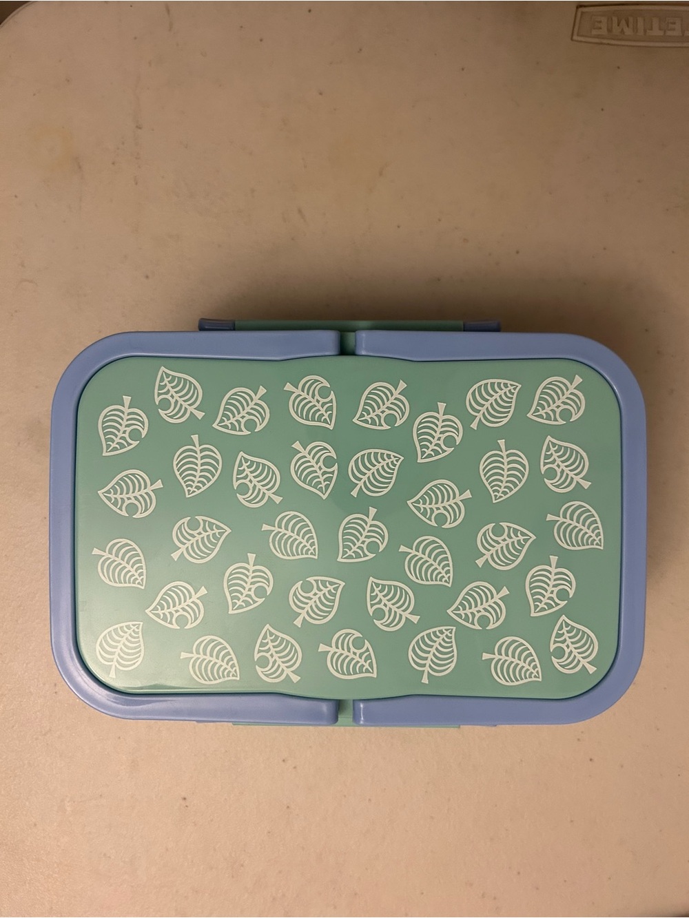 Leaf-Print Meal Prep Container in Green & Blue - Brand Unspecified